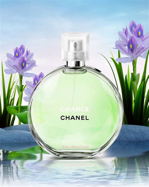 Chance Eau Fraiche Eau de Parfum Chanel Feminino 